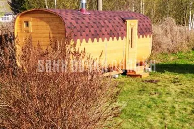 Анна Грачева