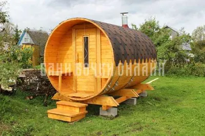 Савина Анна Александровна 