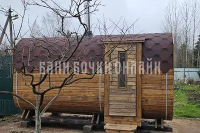 Шкурова Екатерина