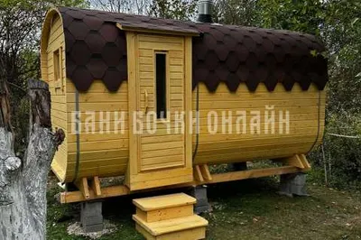 Дарья Александровна