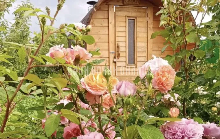 Анна Воробьева